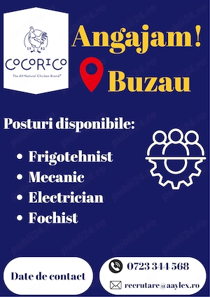 Angajam Personal Tehnic in Buzau