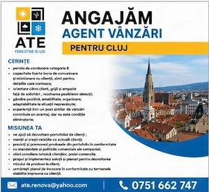 Agent Vanzari (Timisoara, Brasov, Cluj, Sibiu, Craiova) - imagine 5