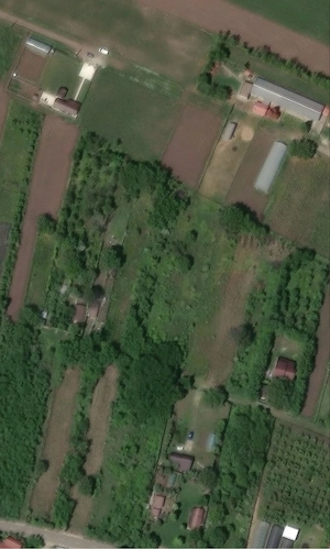 Teren Dârvari - Tămădău Mare