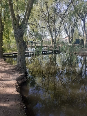 vand teren intravilan