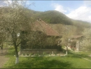 Casă de vânzare   Criscior, str. Zărandului nr. 109, Hunedoara 55.000 EUR negociabil