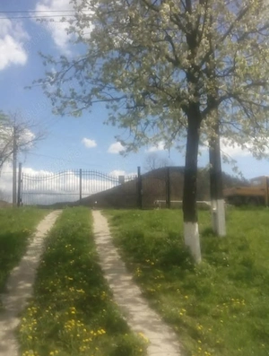 Casă de vânzare   Criscior, str. Zărandului nr. 109, Hunedoara 65 000  - imagine 3