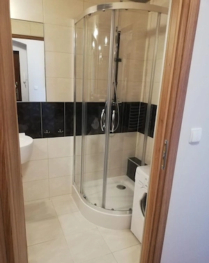Apartament cu o camera de inchiriat in zona Spitalului Judetean - imagine 4