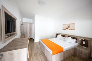 Casa Dacia-Camere de închiriat în regim hotelier - imagine 4