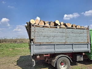 vand lemne de foc 