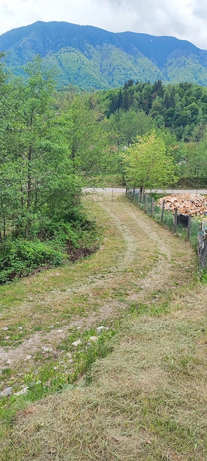 Teren 5600 mp in localitatea Malaia - imagine 5