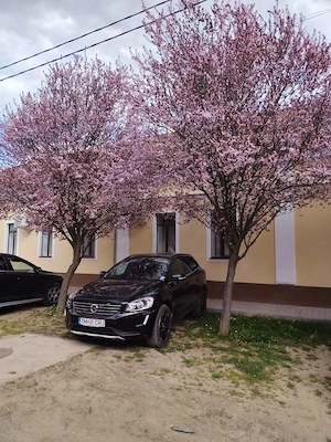 Volvo xc60 2014 automata 181 cp  - imagine 2