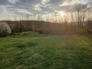 Vila de vanzare in Oarda de Sus pentru iubitori de natura si liniste - imagine 4