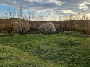 Vila de vanzare in Oarda de Sus pentru iubitori de natura si liniste - imagine 5