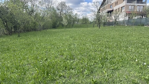 Teren intravilan 3000 mp de vânzare - ideal constructie sau investitie - Slanic Prahova - imagine 2
