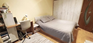 Apartament 2 camere, complet mobilat, Cornisa Bistritei, Bacau - imagine 9