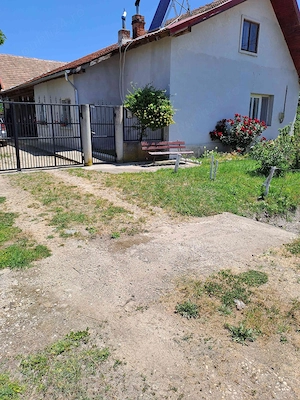  vand casa cu gradina mare cu pomi - imagine 5