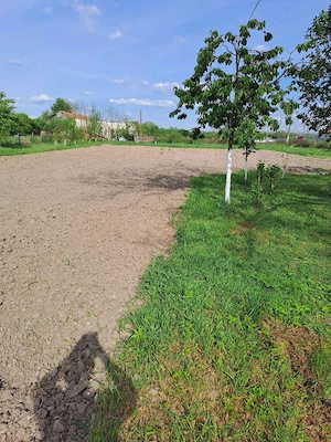  vand casa cu gradina mare cu pomi - imagine 4