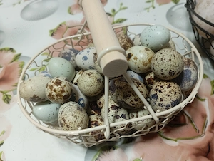 Oua rata și prepeliță 