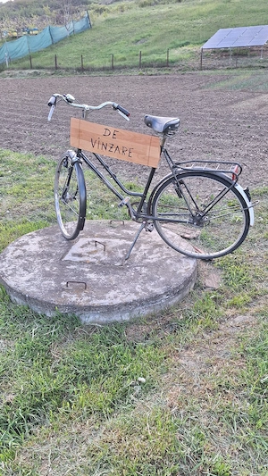 biciclete de vinzare