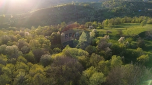 Teren generos de vânzare cu vedere spre Iezer in Bughea de Sus - imagine 5