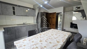 Apartament de vanzare cu 3 camere, decomandat,centrala proprie,Lipovei - imagine 13