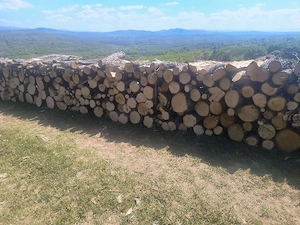 vand lemne de foc esenta tare transport la domiciliu 