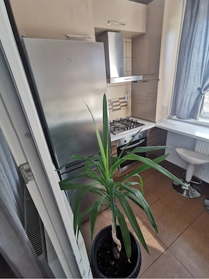 inchiriez ap 2 camere Popesti Leordeni  - imagine 2