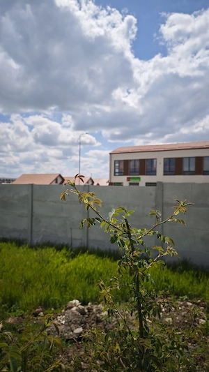 Vand Teren Comuna Pantelimon - 417 MP Intravilan - IDEAL Constructie CASA - Pret usor Negociabil - imagine 7