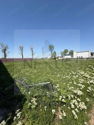 Calea Bucuresti - Teren intravilan - 2 min STB - 375 metri - imagine 2