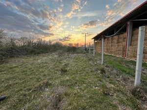 Bocsa Romana, 2 terenuri intravilan, 10.000 Mp.(59.900 Euro) si arabil, 80.000 Mp.(58000 Euro) langa - imagine 4