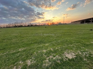 Bocsa Romana, 2 terenuri intravilan, 10.000 Mp.(59.900 Euro) si arabil, 80.000 Mp.(58000 Euro) langa - imagine 2