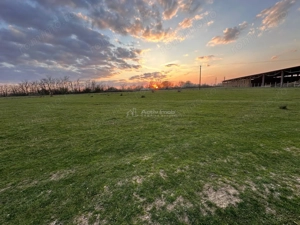 Bocsa Romana, 2 terenuri intravilan, 10.000 Mp.(59.900 Euro) si arabil, 80.000 Mp.(58000 Euro) langa - imagine 8