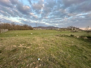 Bocsa Romana, 2 terenuri intravilan, 10.000 Mp.(59.900 Euro) si arabil, 80.000 Mp.(58000 Euro) langa - imagine 6