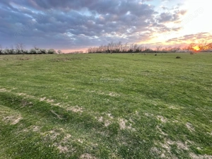 Bocsa Romana, 2 terenuri intravilan, 10.000 Mp.(59.900 Euro) si arabil, 80.000 Mp.(58000 Euro) langa - imagine 7