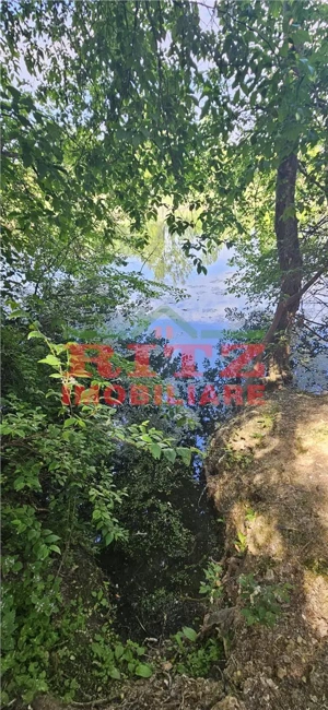 BALTA   15 ha si  p #259;dure de plop  #537;i stejar 14,5 ha – 295.000 mp – Dr #259;g #259;ne #537;t - imagine 4