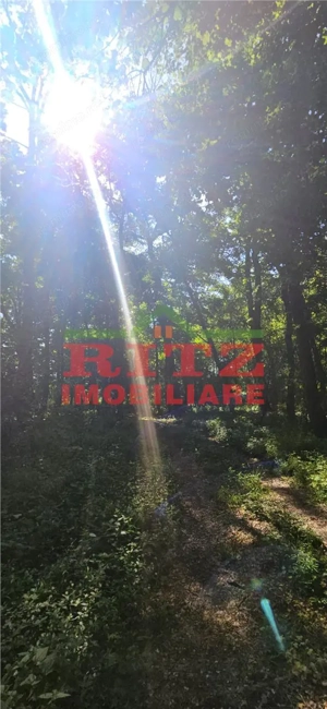 BALTA   15 ha si  p #259;dure de plop  #537;i stejar 14,5 ha – 295.000 mp – Dr #259;g #259;ne #537;t - imagine 9