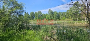 BALTA   15 ha si  p #259;dure de plop  #537;i stejar 14,5 ha – 295.000 mp – Dr #259;g #259;ne #537;t - imagine 6