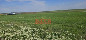 TEREN  INTRAVILAN 15.000 mp - imagine 2