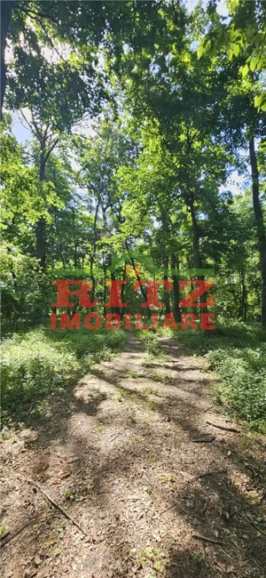 BALTA   15 ha si  p #259;dure de plop  #537;i stejar 14,5 ha – 295.000 mp – Dr #259;g #259;ne #537;t - imagine 5