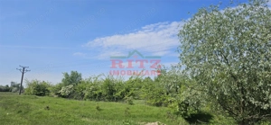 BALTA   15 ha si  p #259;dure de plop  #537;i stejar 14,5 ha – 295.000 mp – Dr #259;g #259;ne #537;t - imagine 10