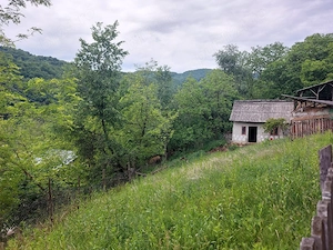 Cabană și teren 1800 m intravilan  la  munte - imagine 4