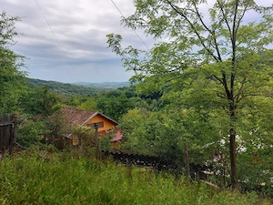 Cabană și teren 1800 m intravilan  la  munte - imagine 2