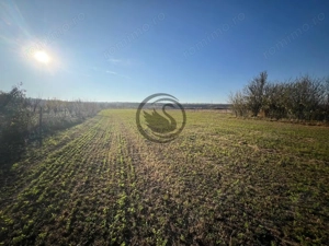 Teren intravilan de vanzare | 12.650 mp | Ghirdoveni, | Comision 0%