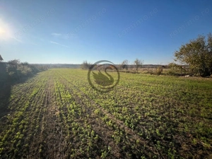 Teren intravilan de vanzare | 12.650 mp | Ghirdoveni | Comision 0% - imagine 4