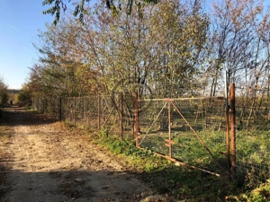 Teren intravilan de vanzare | 12.650 mp | Ghirdoveni | Comision 0% - imagine 9