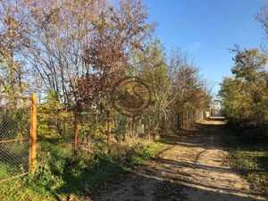 Teren intravilan de vanzare | 12.650 mp | Ghirdoveni | Comision 0% - imagine 8