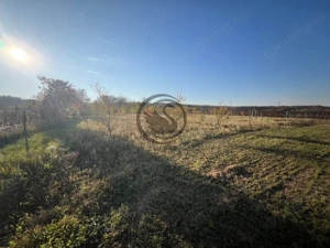 Teren intravilan de vanzare | 12.650 mp | Ghirdoveni | Comision 0% - imagine 7