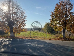 Teren intravilan de vanzare | 12.650 mp | Ghirdoveni | Comision 0% - imagine 12