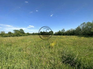 Teren Vanzare 11.000 MP Ghirdoveni | Comision 0% - imagine 11