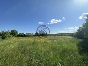 Teren Vanzare 11.000 MP Ghirdoveni | Comision 0% - imagine 10