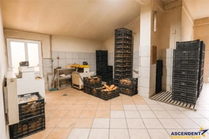 Spatiu comercial+afacere functionala: brutarie,rute de distributie,Ghelinta - imagine 2