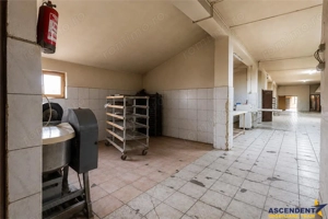 Spatiu comercial+afacere functionala: brutarie,rute de distributie,Ghelinta - imagine 12