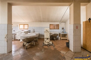 Spatiu comercial+afacere functionala: brutarie,rute de distributie,Ghelinta - imagine 10