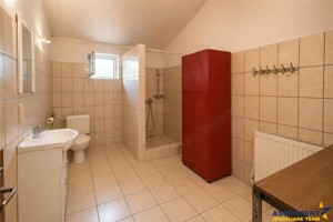 Spatiu comercial+afacere functionala: brutarie,rute de distributie,Ghelinta - imagine 8